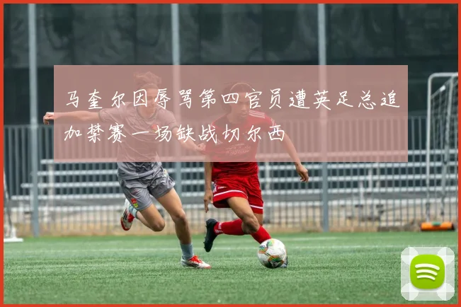 马奎尔因辱骂第四官员遭英足总追加禁赛一场缺战切尔西