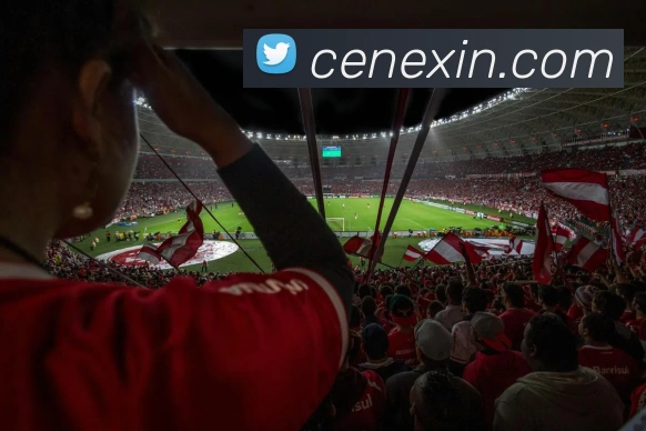 mksports在线登录入口APP 封面图